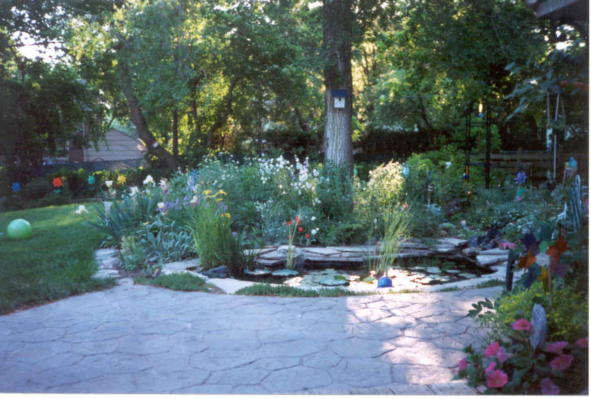 pond2002.jpg
